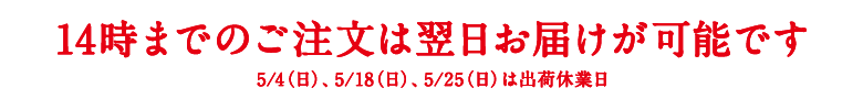 翌日お届け