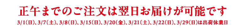 翌日お届け